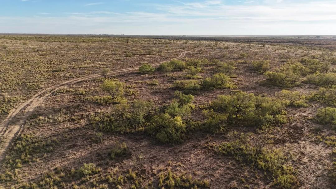 630± Acres - Dawson County