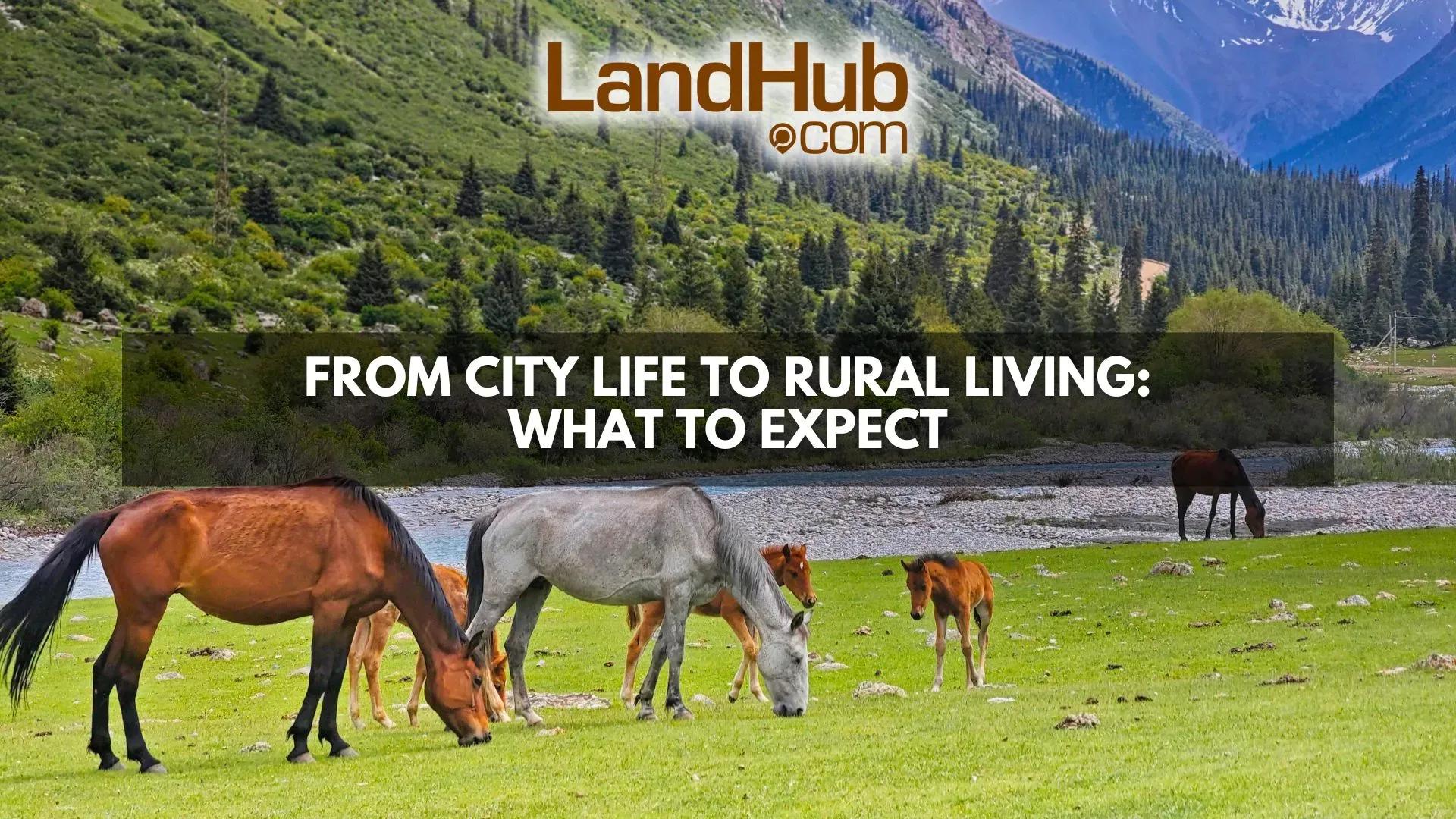 Relocation Rural From City Life to Rural Living: What to Expect | LandHub